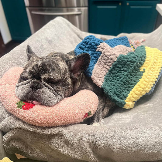 SereneRest™ — The Ultimate Calm Haven for Happy, Pain-Free Dogs