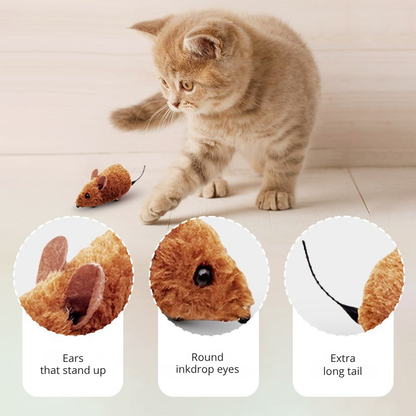 ProwlPulse™ — Ignite Your Cat’s Wild Instincts for Endless Thrills and Calm