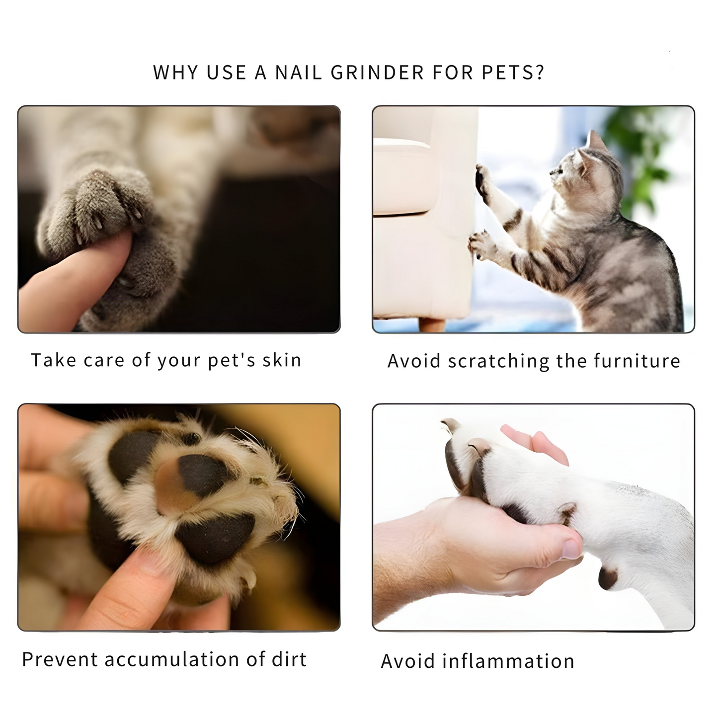 Stress-free pet nail file for your animal