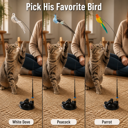 FeliFrenzy™ — Place It, Leave It, See Your Cat Chase for Hours