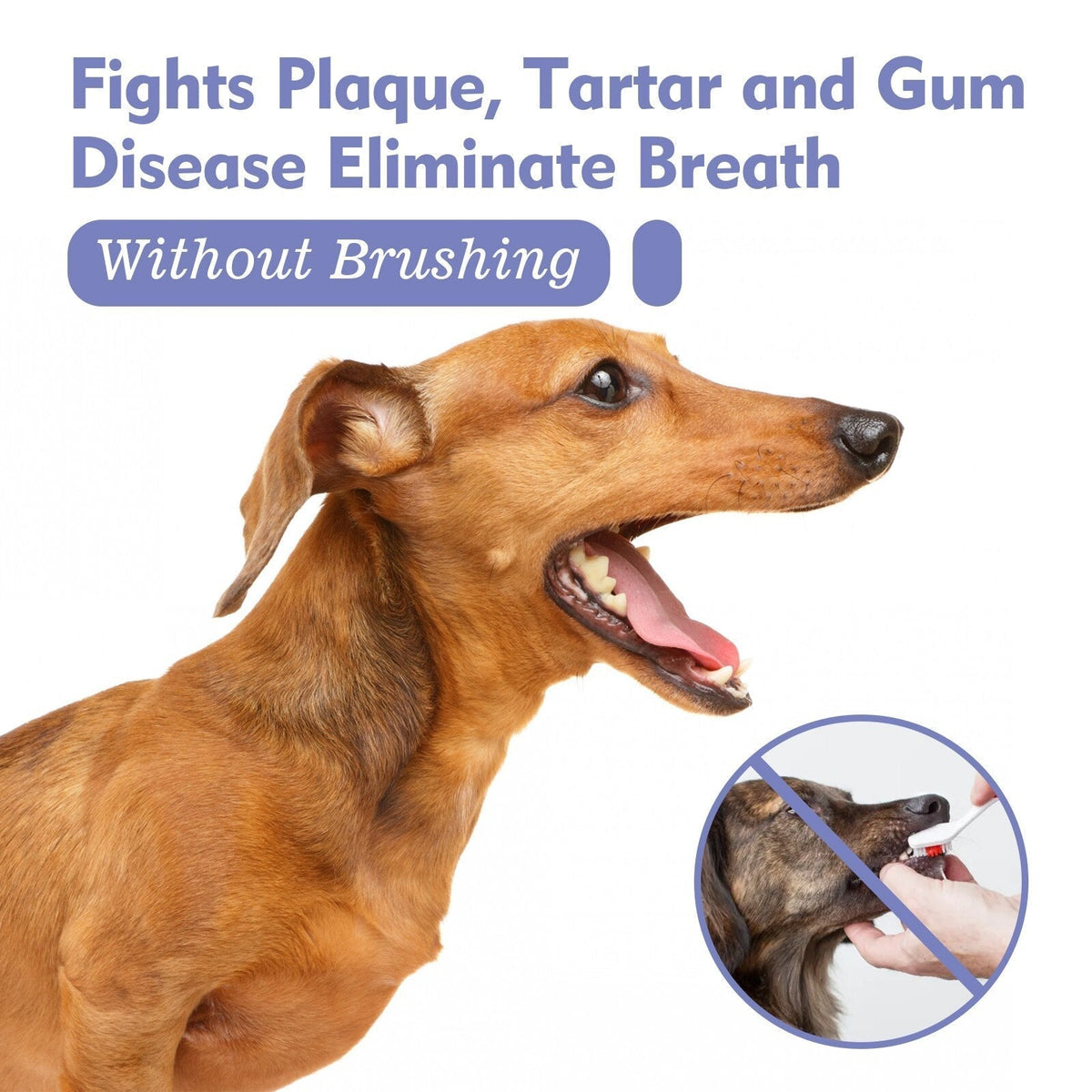 VitaPaws™ Breath Spray — Snuggle Closer with Instant, Natural Freshness