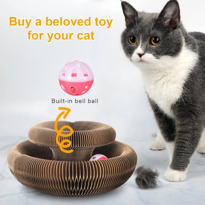 PurrPlay™ | Versatile Entertainment for Joyful Kittens