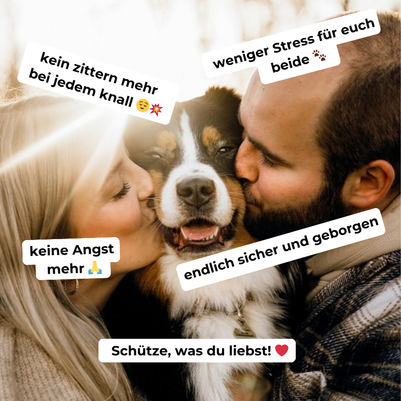 SilentPaws™