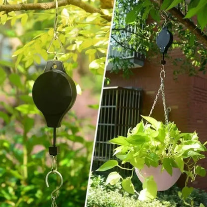 2+2 Free | Elegant Plant Hanging Set for Your Home Decor
