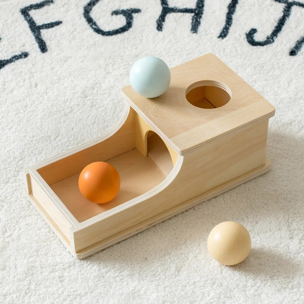 LittleGenius | Enhancing Cognitive Development