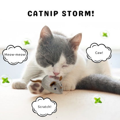 ProwlPulse™ — Ignite Your Cat’s Wild Instincts for Endless Thrills and Calm