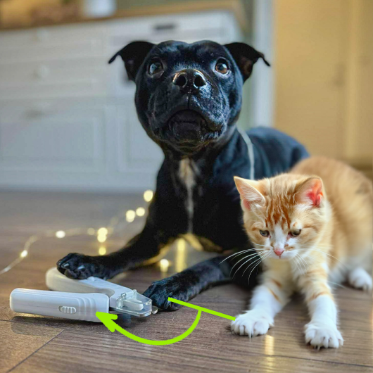 PrimiGroom™ — Trim with Laser Precision for Calm, Confident Pet Care Every Time
