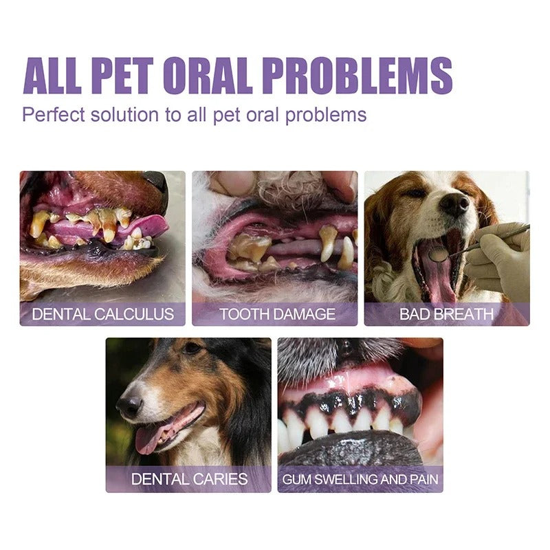 PuraPaws™ Oral Gel — Melt Away Tartar and Unleash Irresistibly Fresh, Pain-Free Pet Smiles