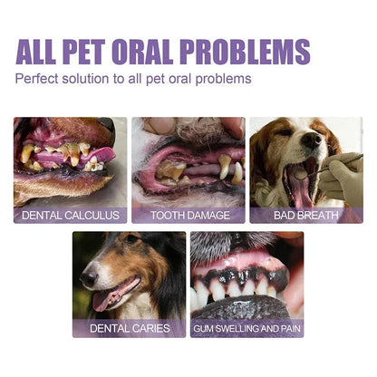 PuraPaws™ Oral Gel — Melt Away Tartar and Unleash Irresistibly Fresh, Pain-Free Pet Smiles