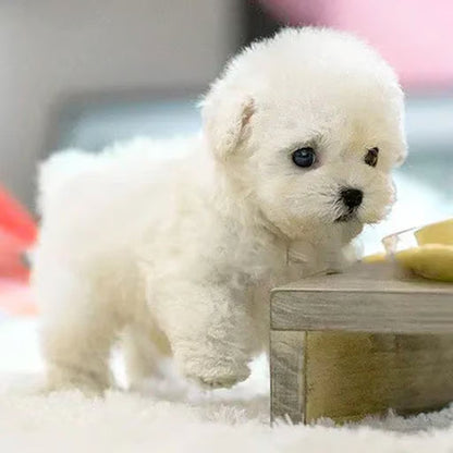 FurEverJoy™ — Feel Heartwarming Puppy Magic Without the Mess or Noise