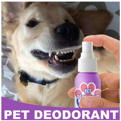 VitaPaws™ Breath Spray — Snuggle Closer with Instant, Natural Freshness