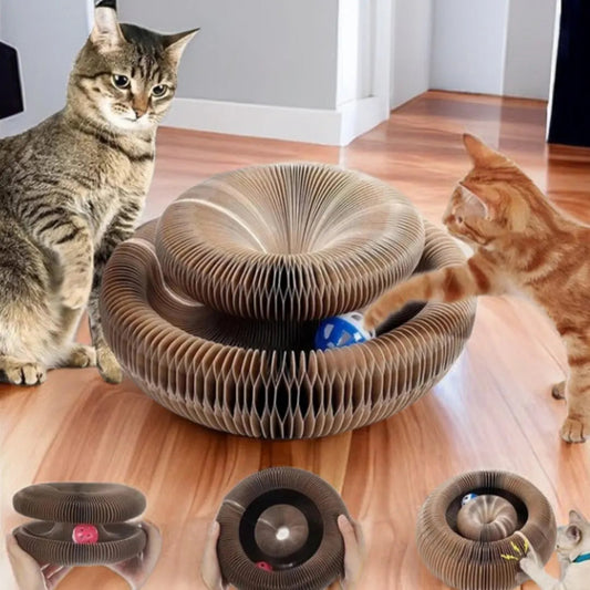 PurrPlay™ | Versatile Entertainment for Joyful Kittens