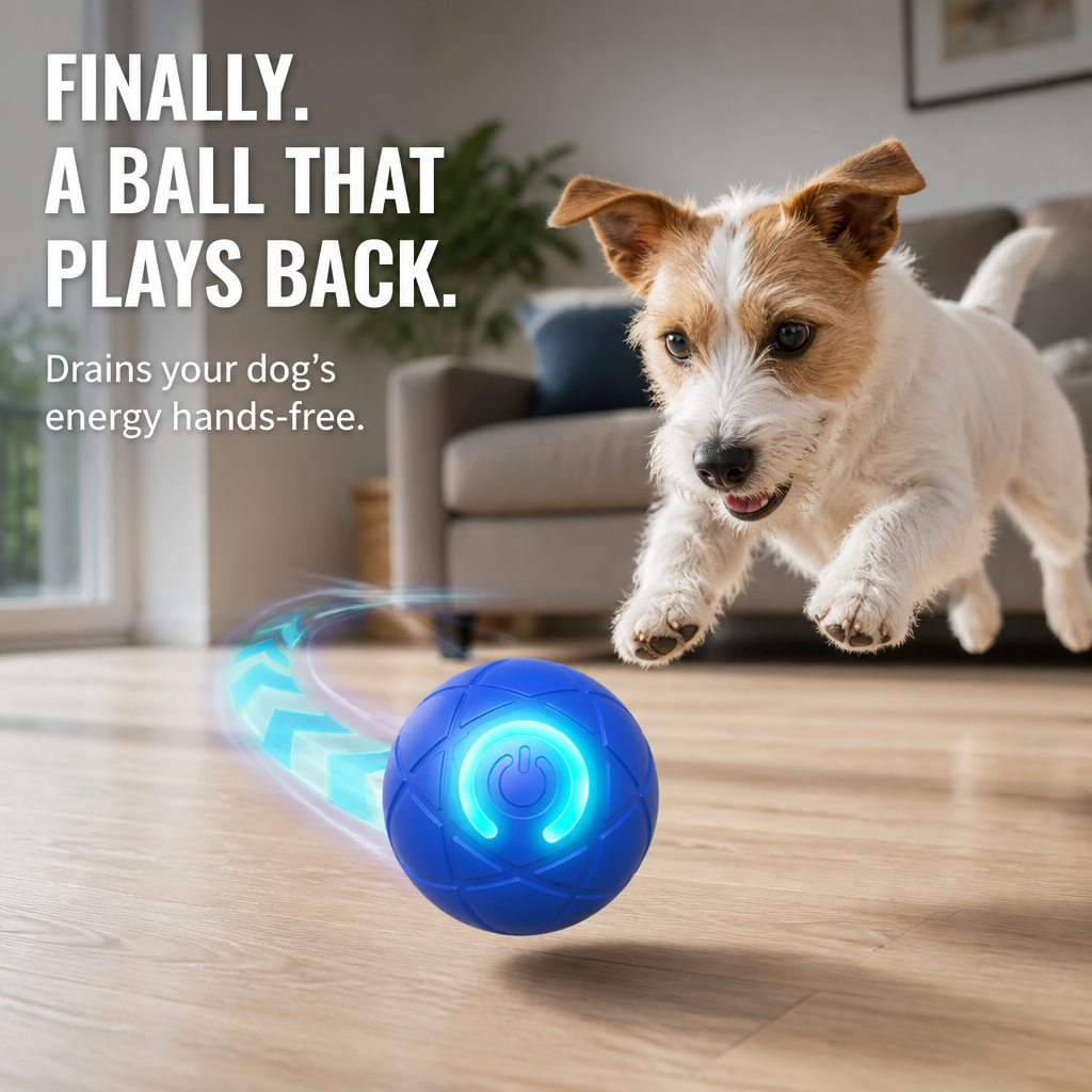DashRoll™ — Tire Out Your Dog’s Energy Hands-Free While You Work