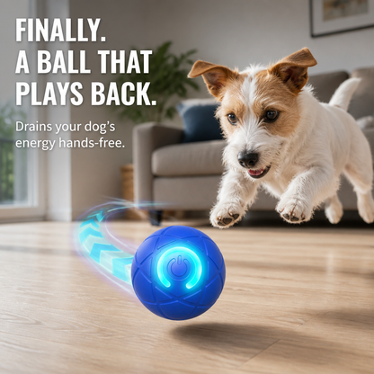 DashRoll™ — Tire Out Your Dog’s Energy Hands-Free While You Work