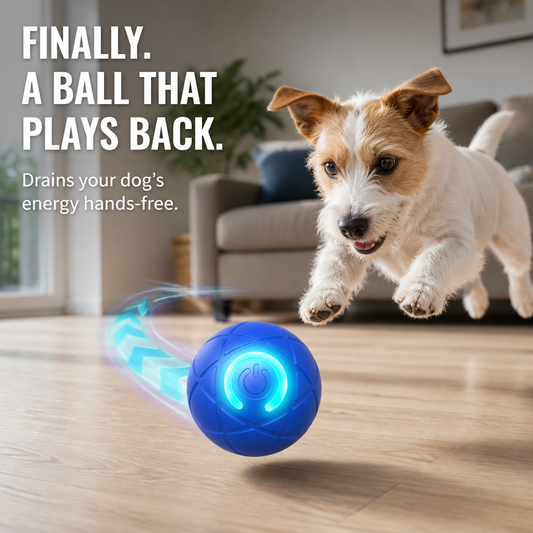 DashRoll™ — Tire Out Your Dog’s Energy Hands-Free While You Work