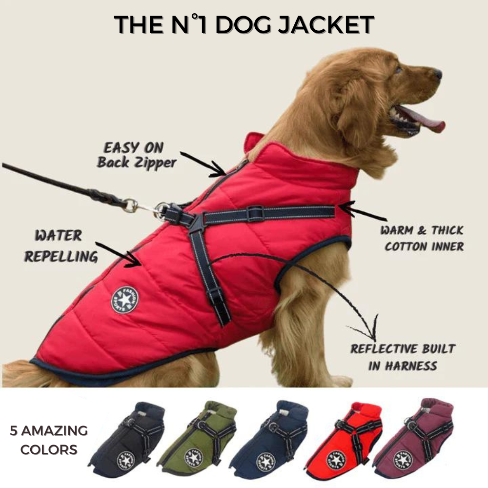 BraveTail™ Weather Jacket — Wrap Your Dog in Cozy Warmth and Effortless Control, Rain or Shine