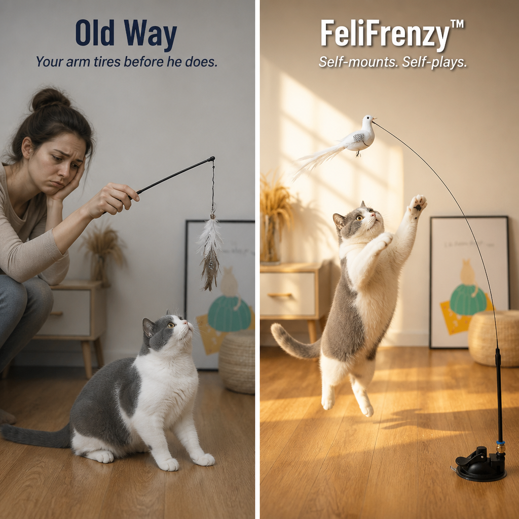 FeliFrenzy™ — Place It, Leave It, See Your Cat Chase for Hours