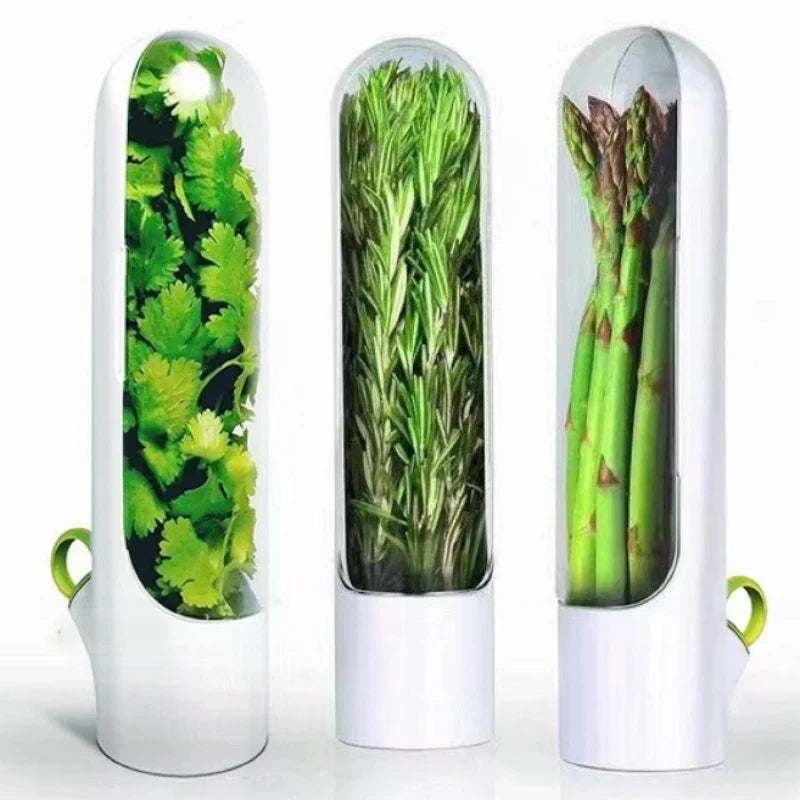 Verdantia™ — Keep Your Herbs Fresh, Flavorful, and Ready to Elevate Every Meal