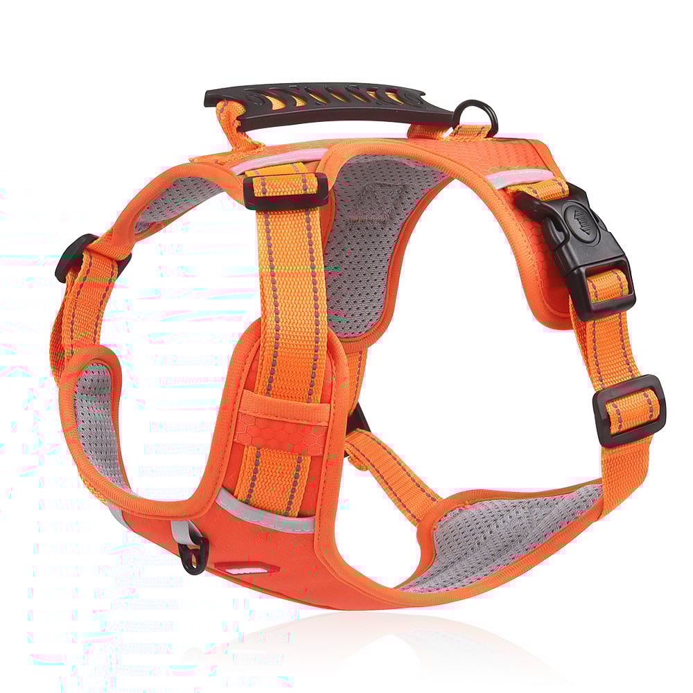 StriderEase™ — End Tugging and Unlock Calm, Comfortable Walks Your Dog Will Love