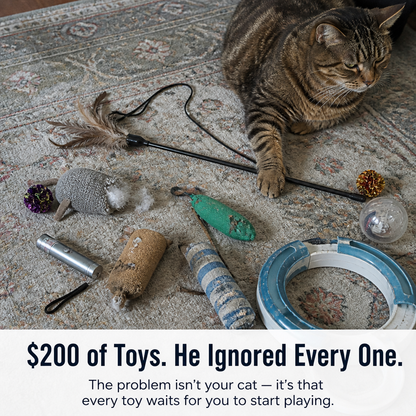 Feline Frenzy™ — Trigger Hunt Mode the Moment Your Cat Passes By