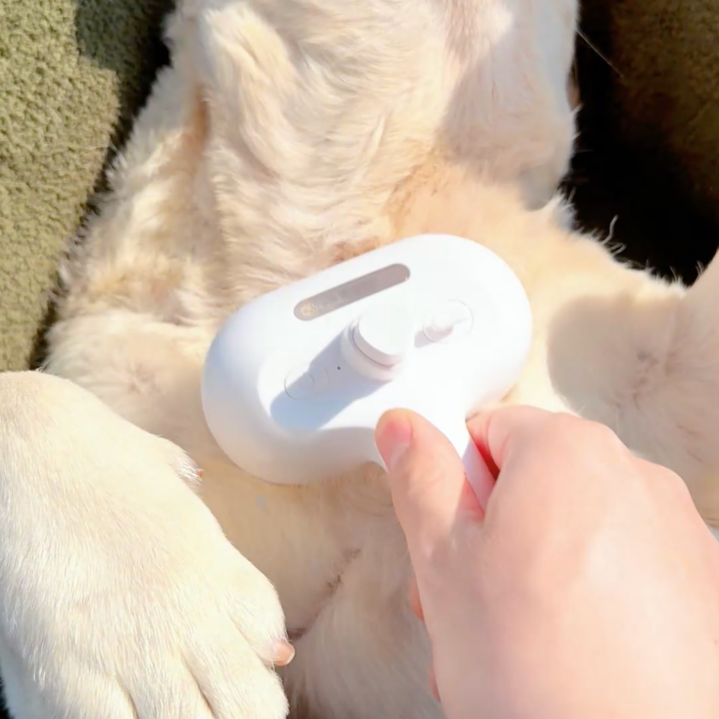 GlowSculpt™ — Unleash an Instant, All-Day Radiance That Turns Heads