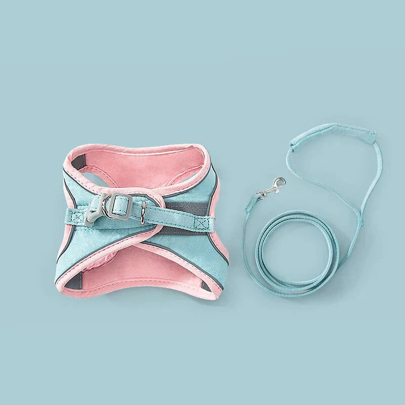RamoraStride™ — Let Your Cat Explore Freely with Comfort and Nighttime Safety