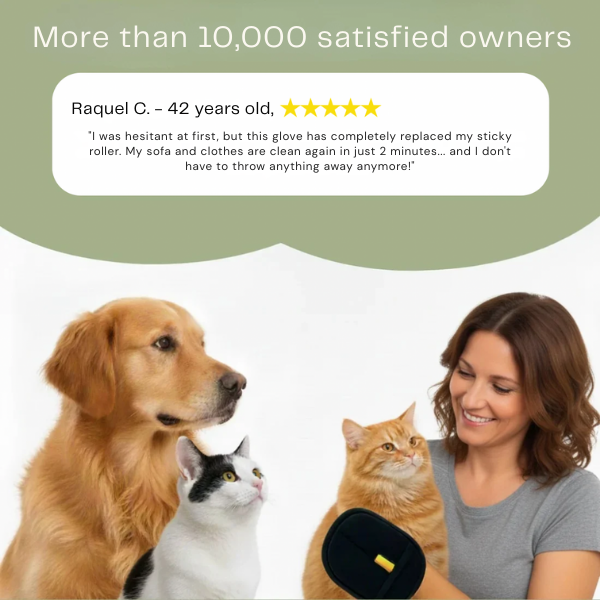 RamoraSweep™ — Instantly Erase Pet Hair for a Spotless, Stress-Free Home