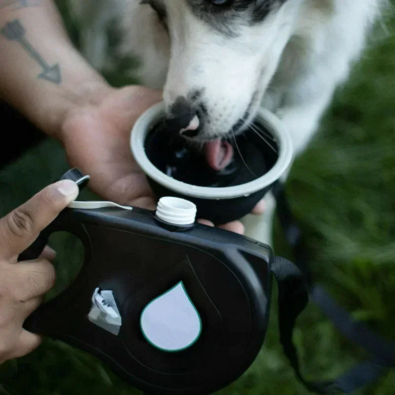 GripGuard™ — Take Back Control and Transform Every Walk into Pure Joy