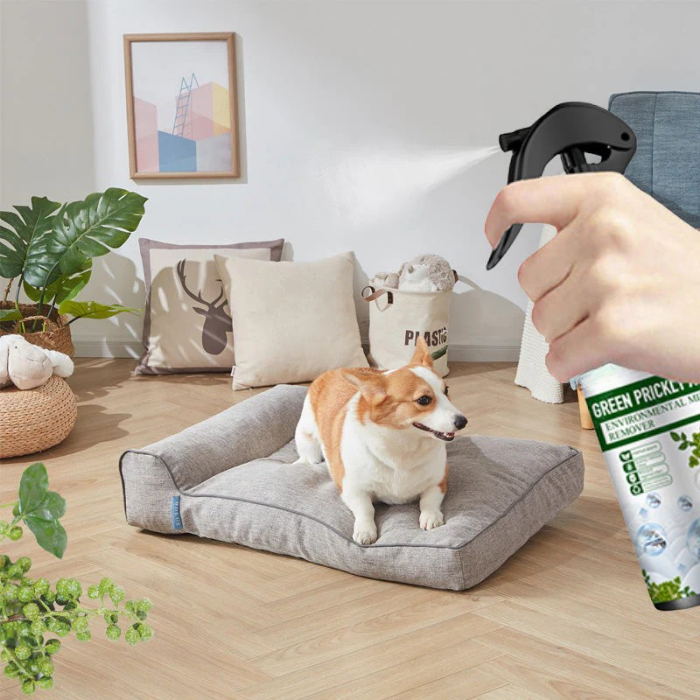MiteGuard™ — Crush Dust Mites Instantly for a Refreshingly Clean, Breathable Home