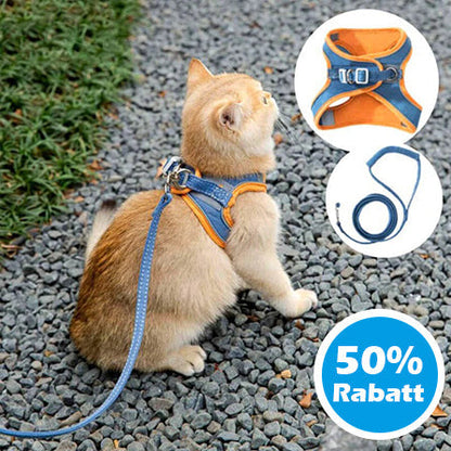 RamoraStride™ — Let Your Cat Explore Freely with Comfort and Nighttime Safety