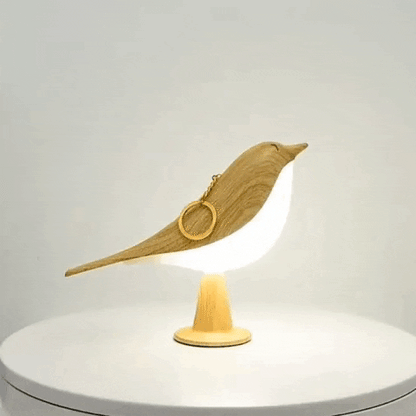 AuraNest™ — Transform Any Room into Your Personal Calm Sanctuary