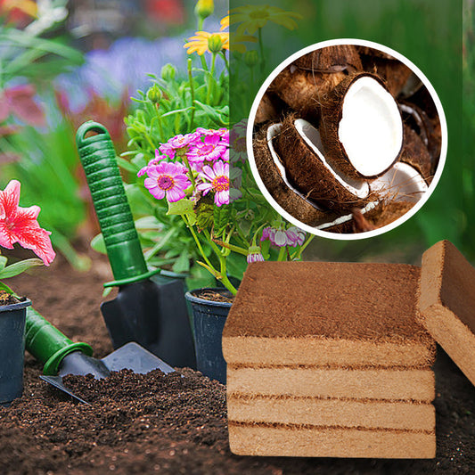 EverRoot™ Organic Coconut Coir — Ignite Radical Growth with Oxygen-Rich, Moisture-Locked Roots