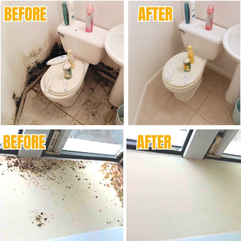 BactiShield™ — Quickly Eliminate Mold for a Safer, Fresher Home