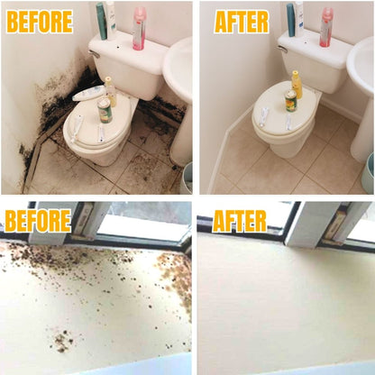 BactiShield™ — Quickly Eliminate Mold for a Safer, Fresher Home