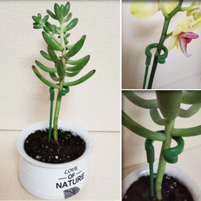 EasyPlant™ Elegant Stem Support