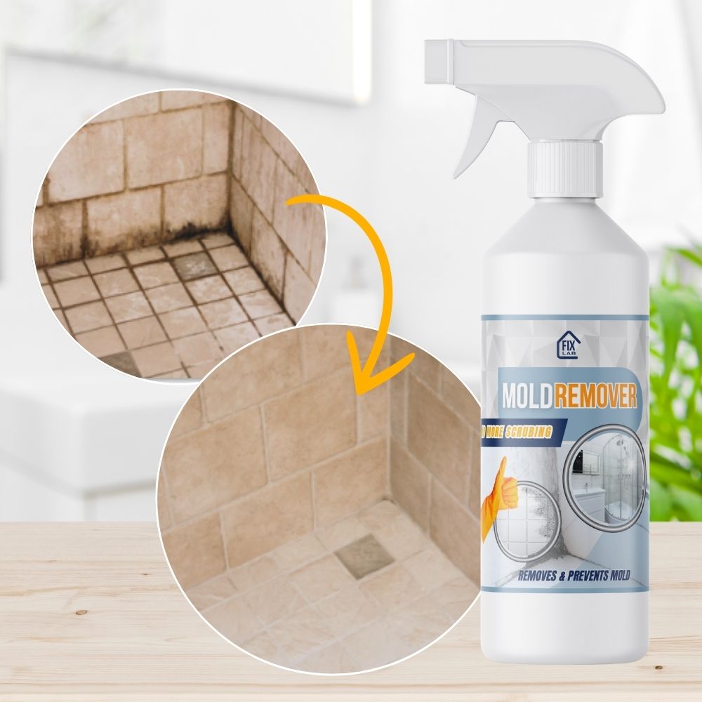 BactiShield™ — Quickly Eliminate Mold for a Safer, Fresher Home