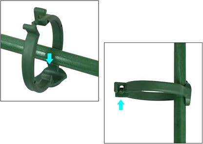 GrowSteady™ — Unshakable Support That Grows Your Garden Into a Lush Powerhouse