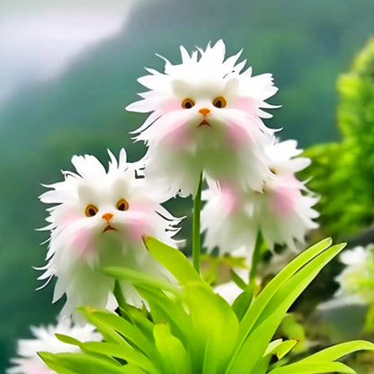 MoonPaw™ Blooms — Transform Your Garden Into a Joyful, Whimsical Paradise