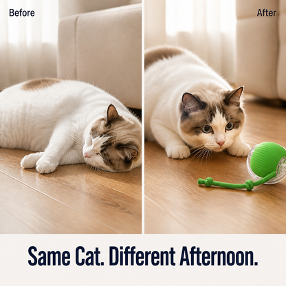WildTail™ — Make Your Bored Indoor Cat Hunt & Leap Again