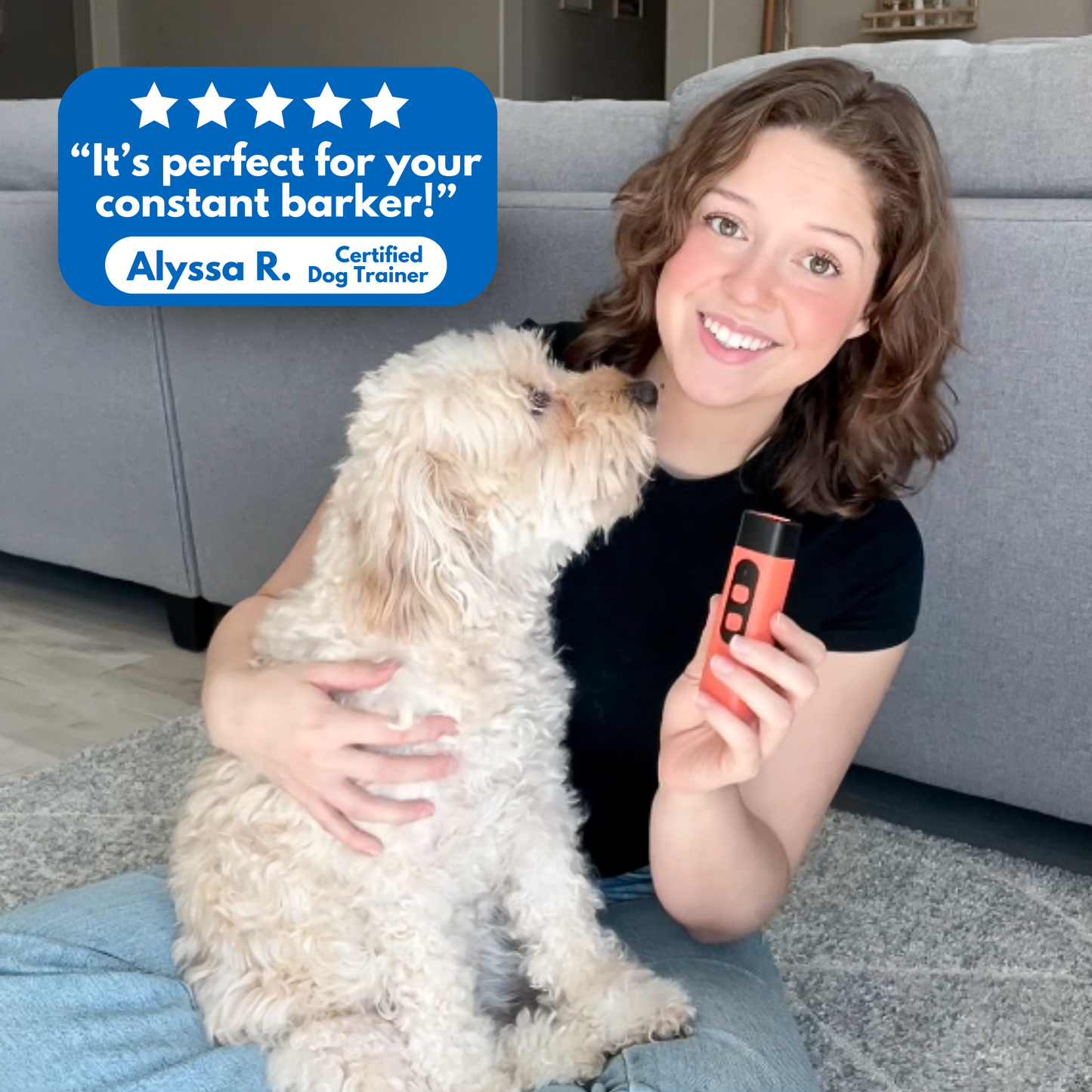 Zephyr Trainer — Portable Ultrasonic Dog Training Device for Quiet Control
