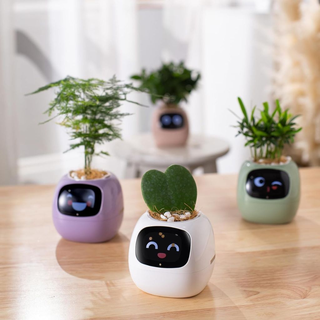 BloomBot™ | Intelligent Plant Pot