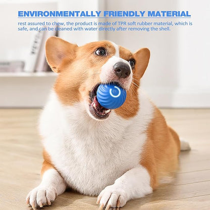 SparkTail™ — Ignite Your Dog’s Wild Instincts with Endless Thrills and Nonstop Fun