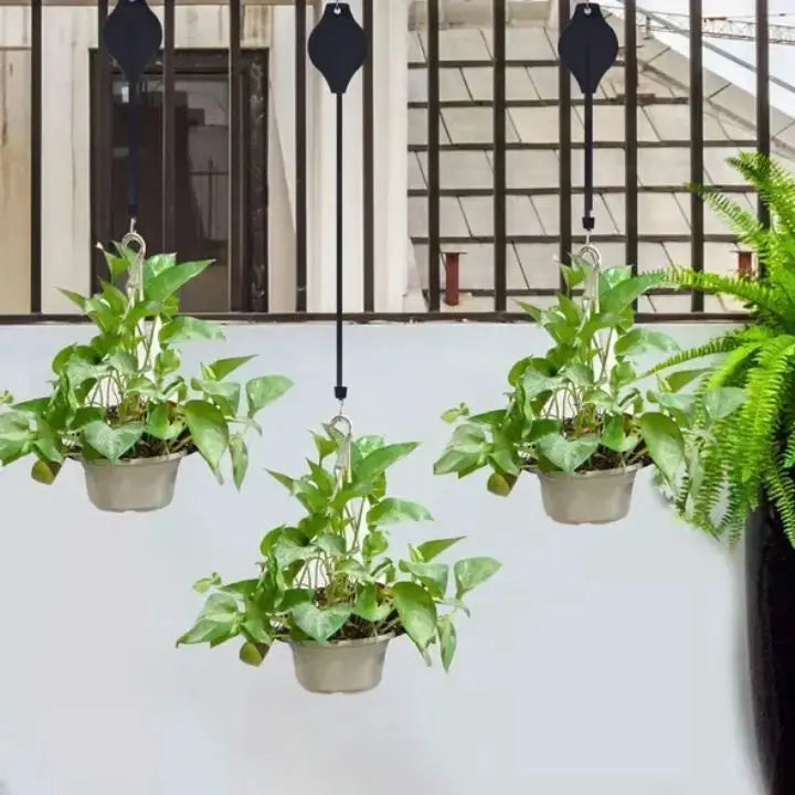 2+2 Free | The stylish plant hanging set for your home décor