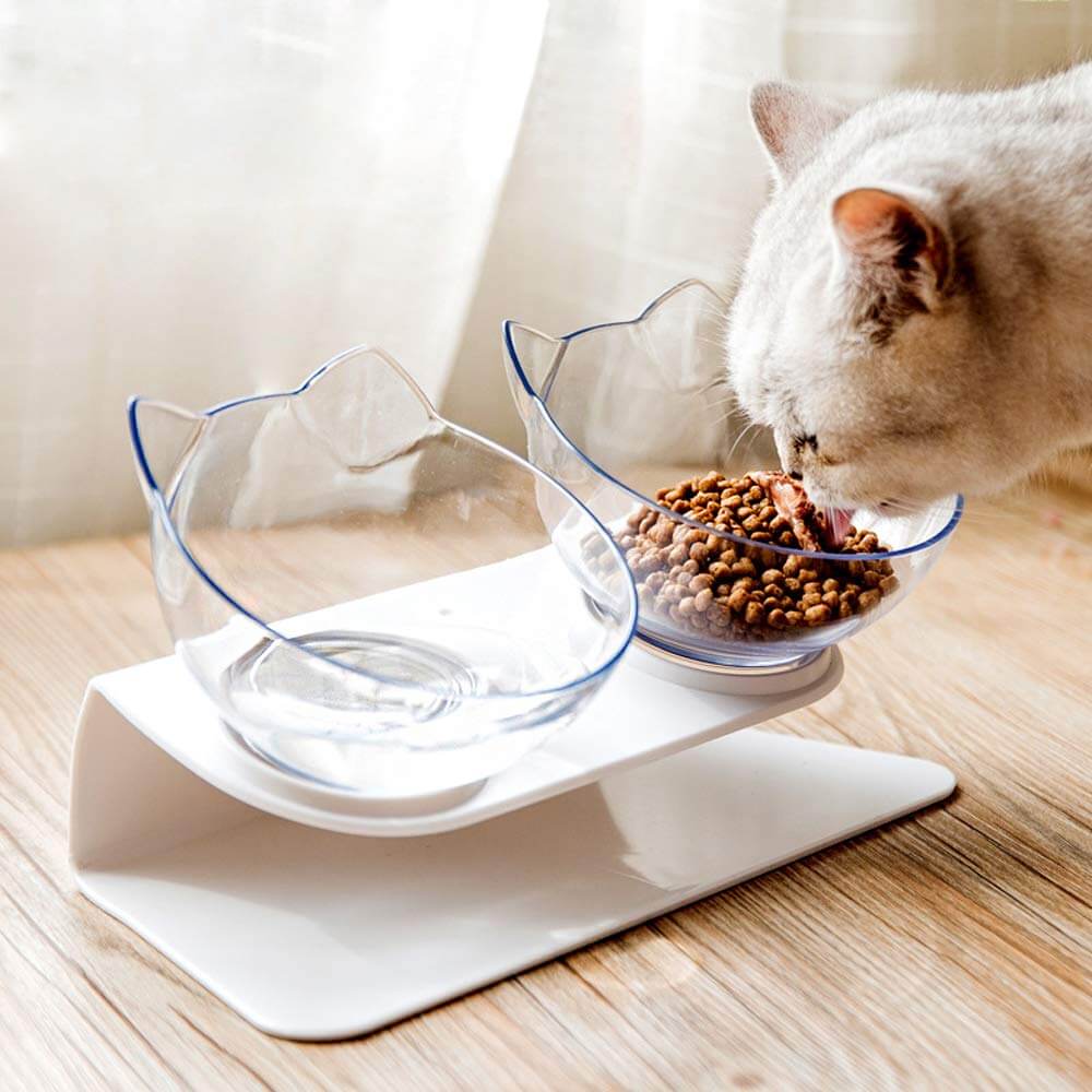 Orthopedic Cat Bowl with Anti-Vomit Design