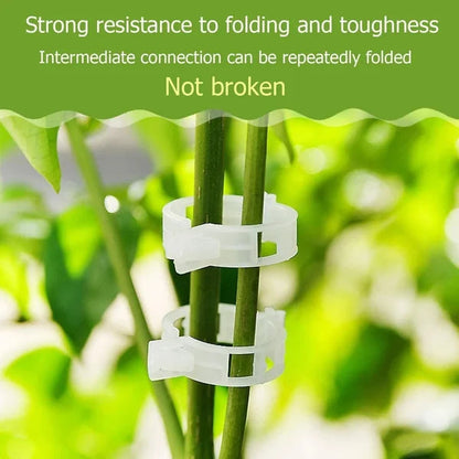 💥2024 Hot Sale 49% OFF💥 Guaranteed Plastic Plant Clips (BUY 3 GET 2 FREE)
