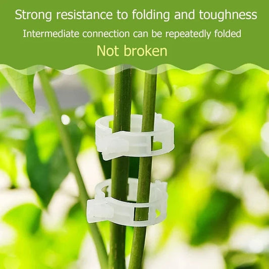 💥2024 Hot Sale 49% OFF💥 Guaranteed Plastic Plant Clips (BUY 3 GET 2 FREE)