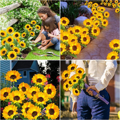 SunLuxe Radiance™ — Transform Your Nights with Effortless, Glowing Garden Magic