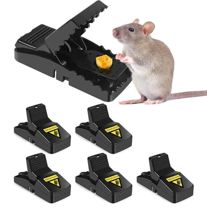 Mouse Trap Reusable