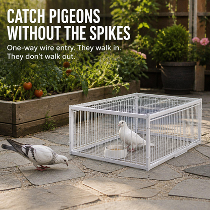 SkyLatch™ — Outsmart Pigeons and Reclaim Your Garden Peacefully