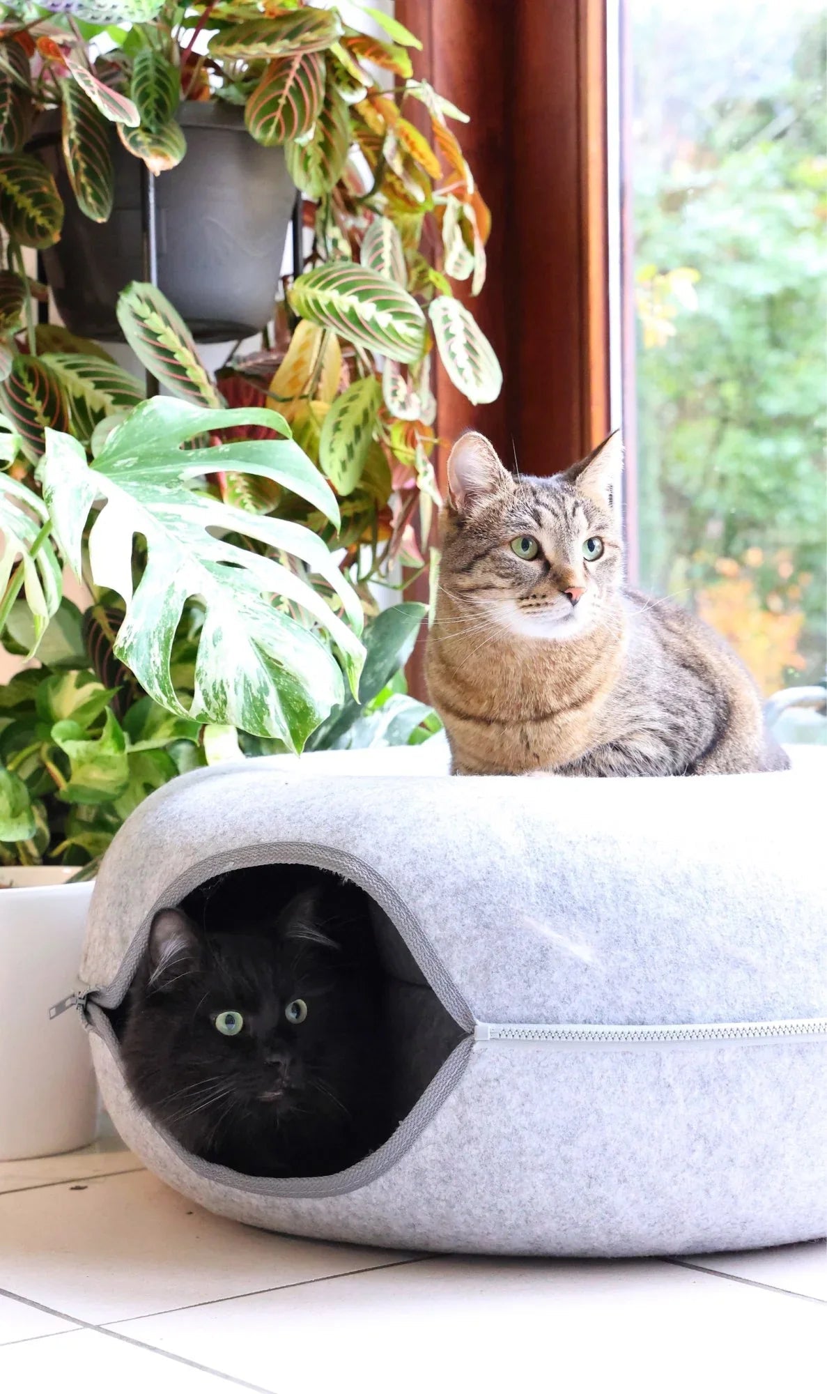CatDome - Donut-Shaped Cat Tunnel Bed